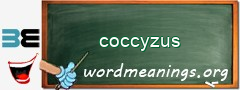 WordMeaning blackboard for coccyzus